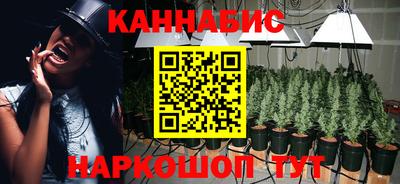 прущие грибы Чебоксары