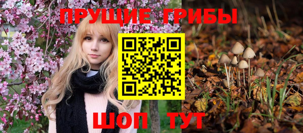 Псилоцибиновые грибы мухоморы Магнитогорск